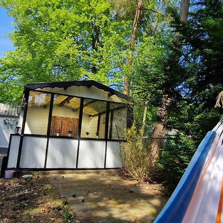 "Dennenhuisje" Op Bospark Ijsselheide Hattemerbroek Εξωτερικό φωτογραφία