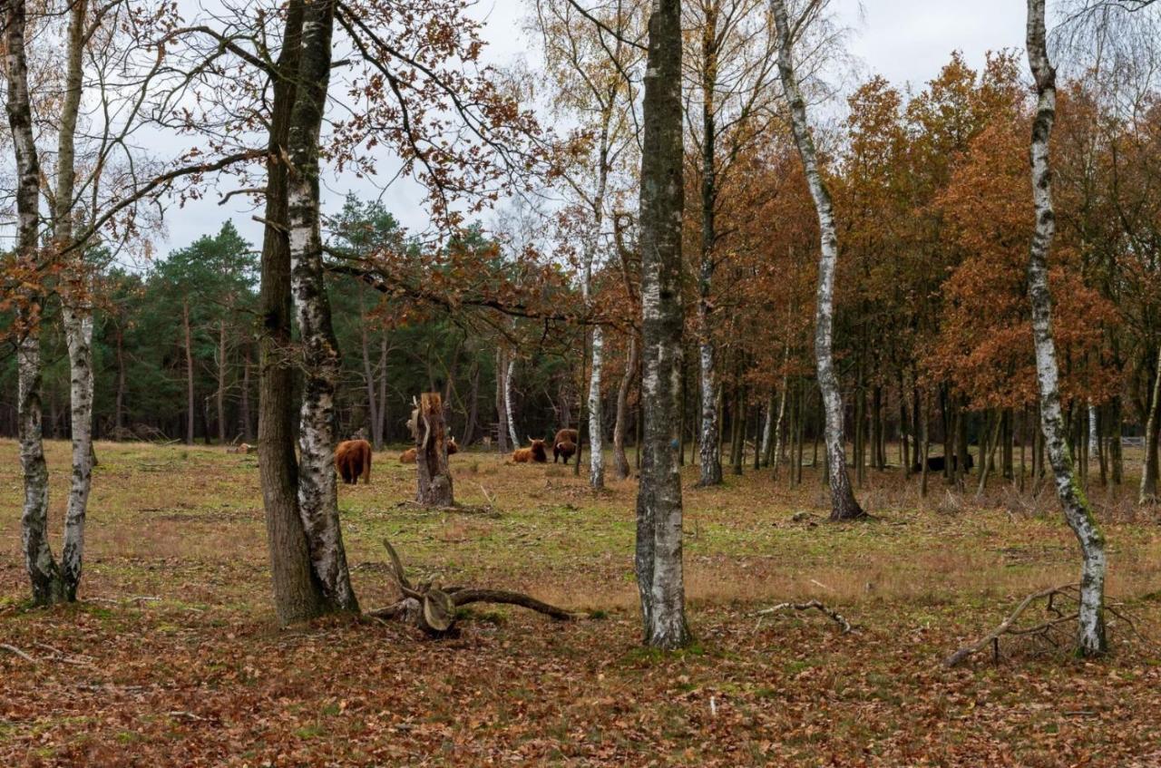 "Dennenhuisje" Op Bospark Ijsselheide Hattemerbroek Εξωτερικό φωτογραφία