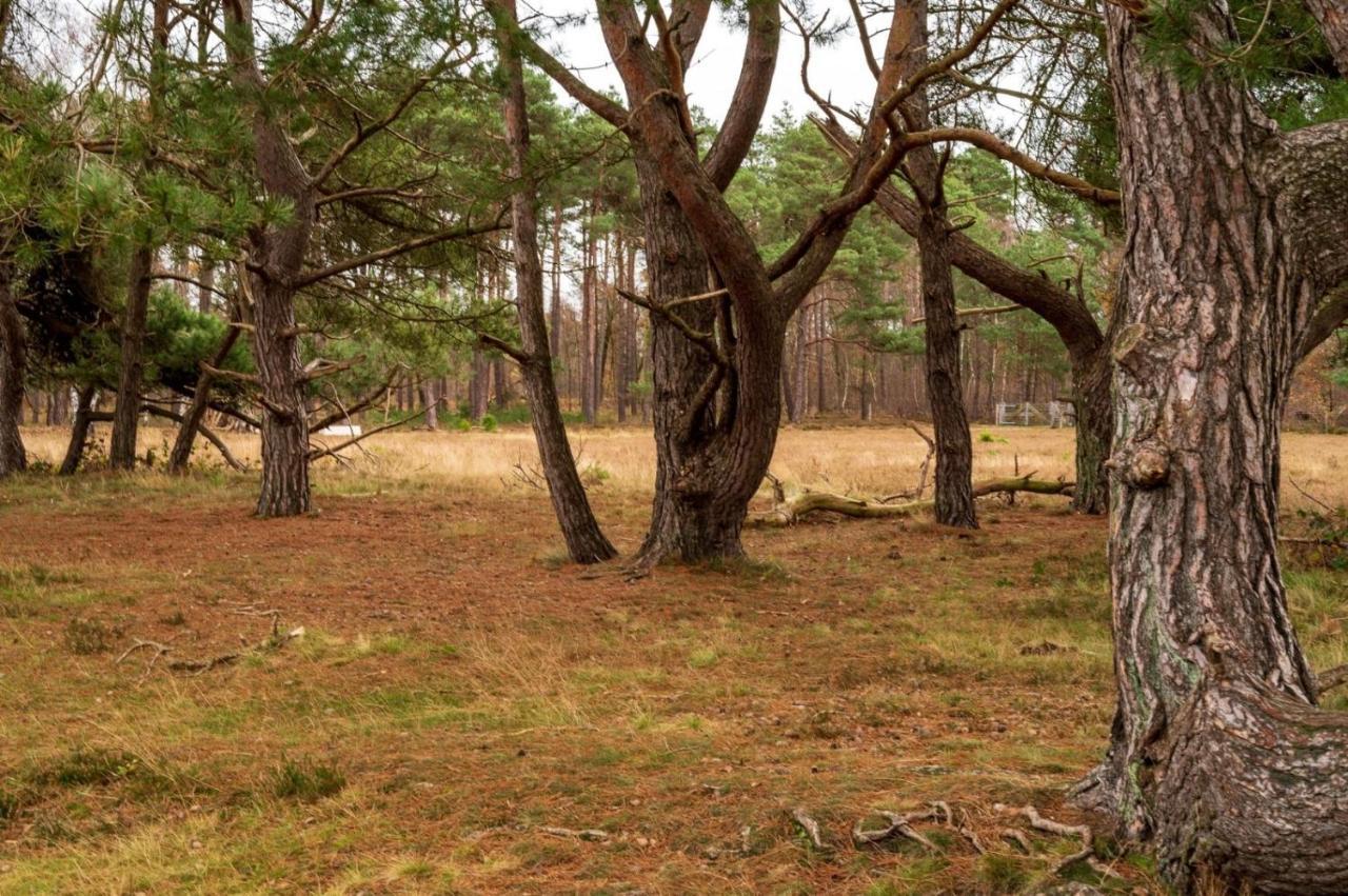 "Dennenhuisje" Op Bospark Ijsselheide Hattemerbroek Εξωτερικό φωτογραφία